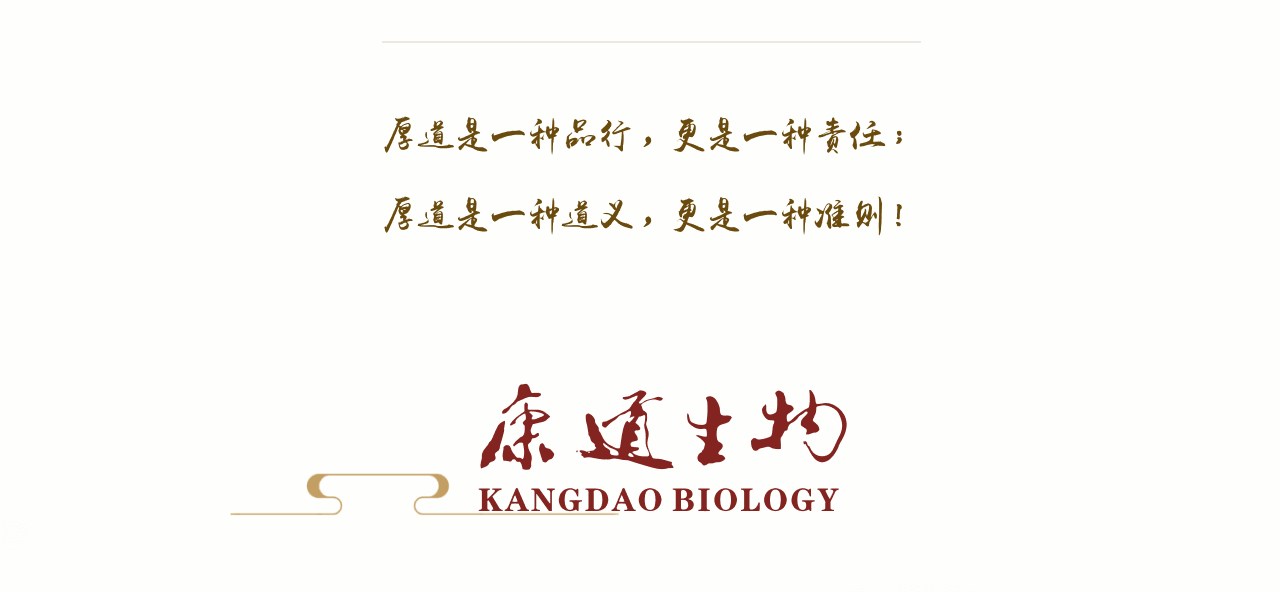 企业精神