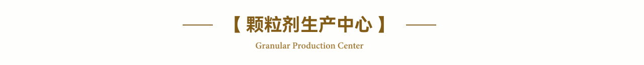 颗粒剂生产中心