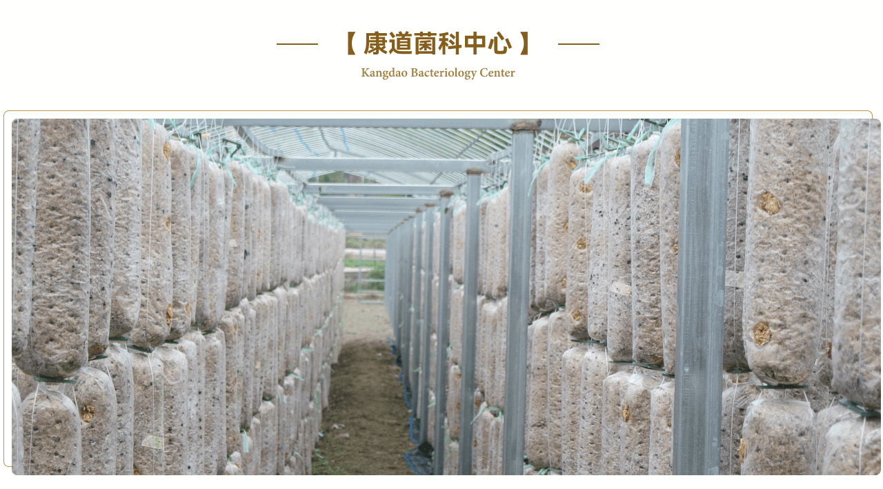 康道菌科中心
