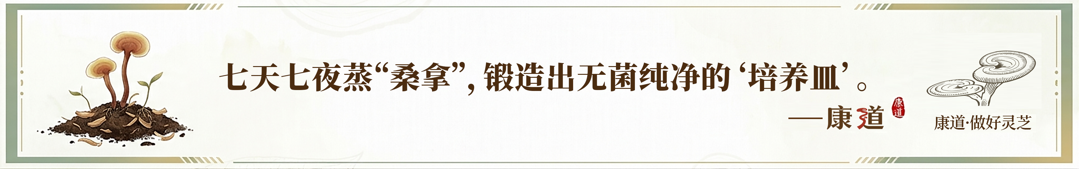 微信图片_2026-06-13_134701_093