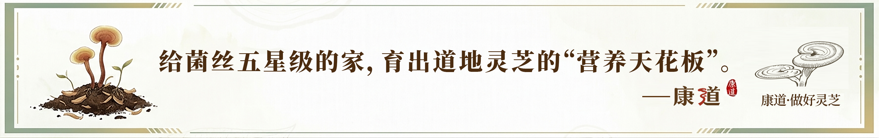 微信图片_2026-06-13_134708_437